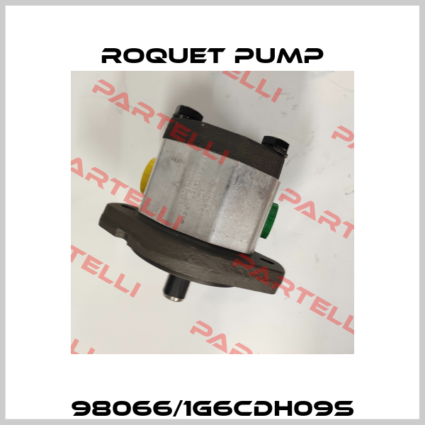 98066/1G6CDH09S Roquet pump
