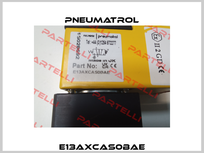 E13AXCAS0BAE Pneumatrol