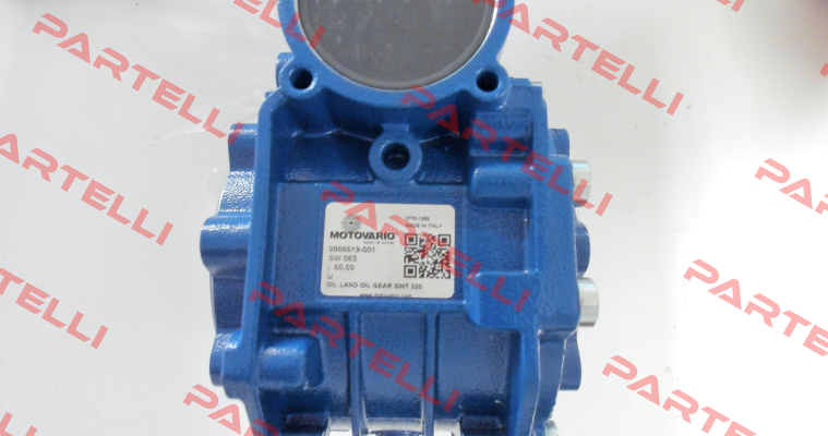 SW063 60,0 120*19 25 U MV Motovario