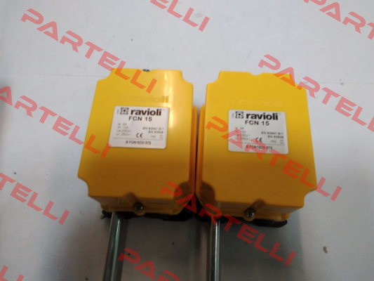 BFCN15D2-373 Ravioli