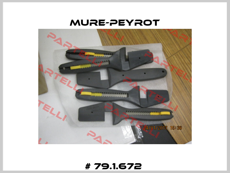 # 79.1.672  Mure-Peyrot