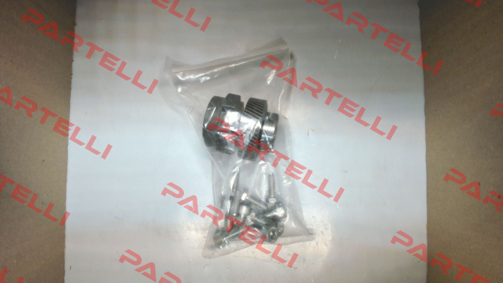 3043497 Motovario