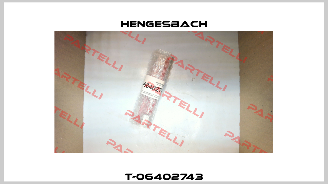 T-06402743 Hengesbach