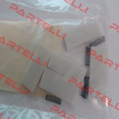 R13926000 Piusi