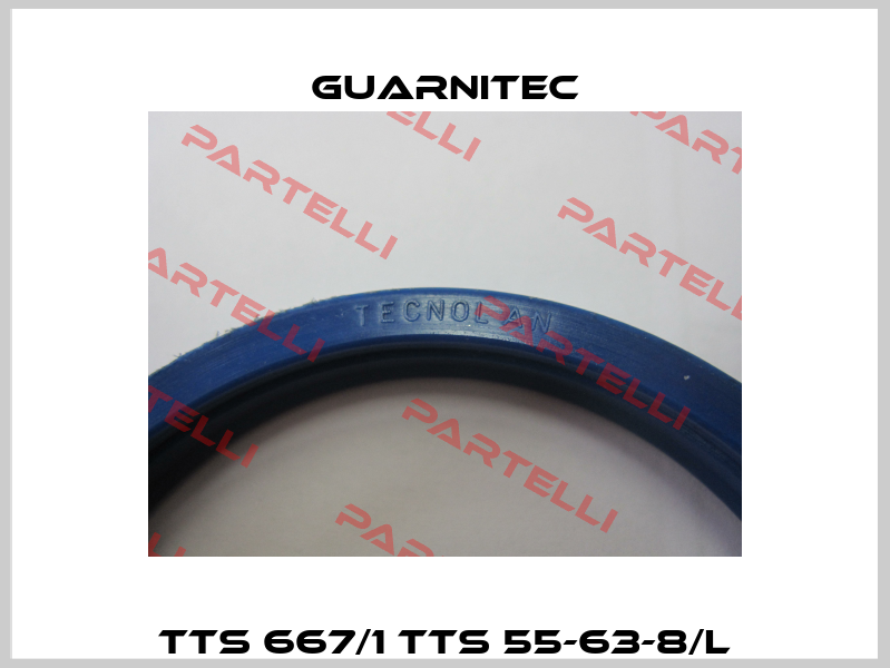 TTS 667/1 TTS 55-63-8/L Guarnitec