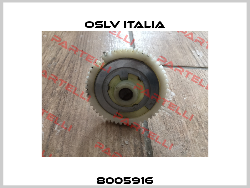 8005916 OSLV Italia