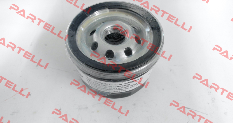 492932 Briggs-Stratton