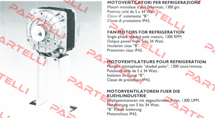 82-1305 Euro Motors Italia