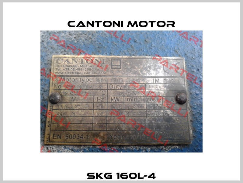 SKg 160L-4 Cantoni Motor