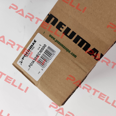 PG1A301EC10000 Pneumax