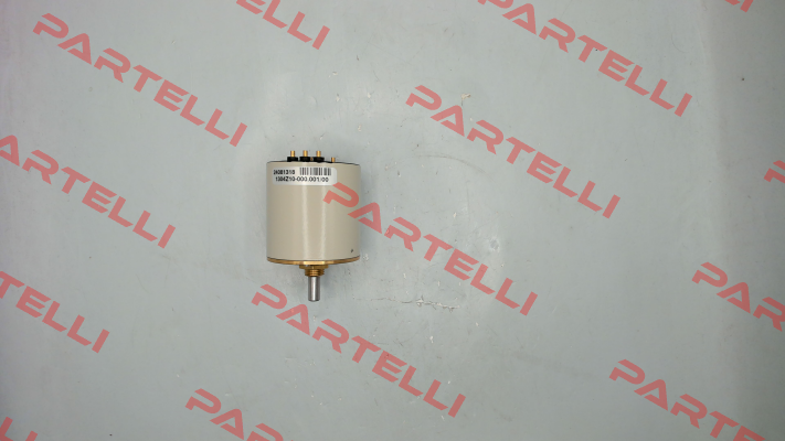 1304Z10-000.001 FSG Fernsteuergeräte