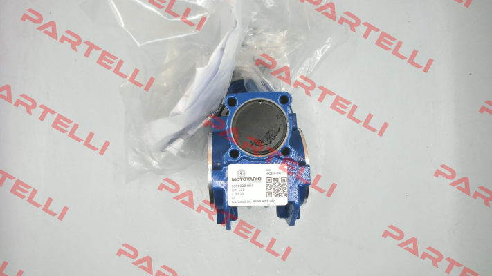 SW030 80,0 080*09 14 U MV Motovario