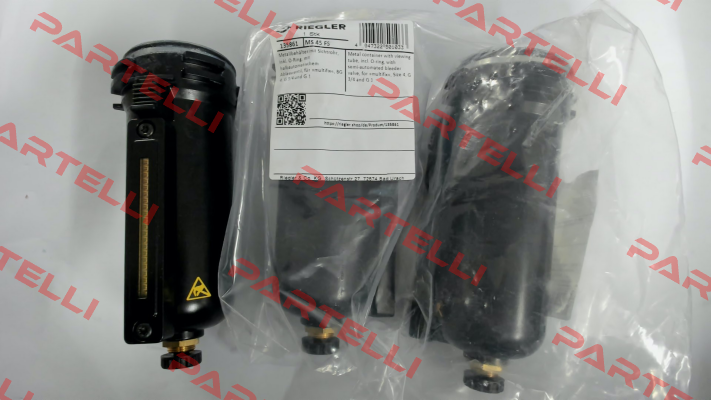 135861 / MS 45 FS Riegler