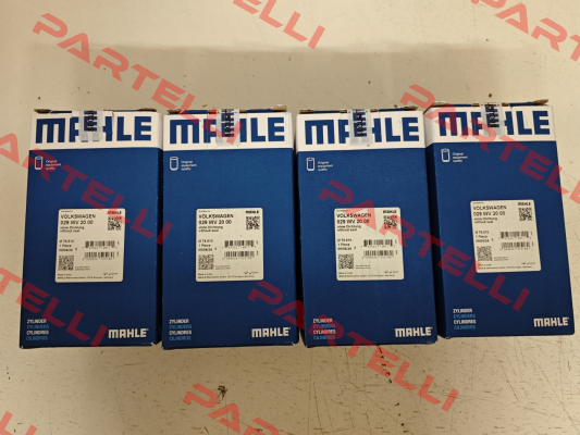 029 WV 20 00 MAHLE