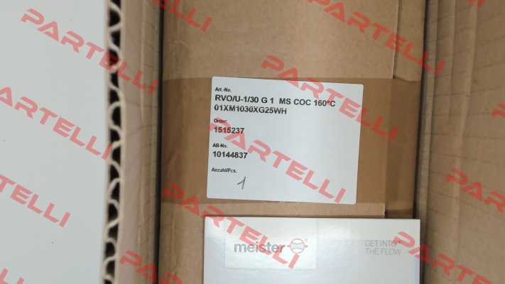 01XM1030XG25WH Meister