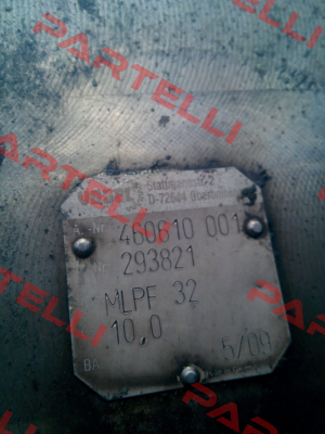 293821 Vogel