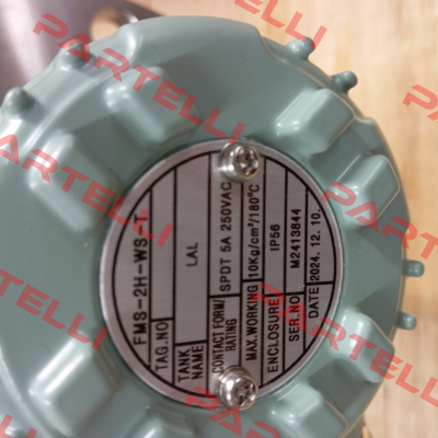 Type FMS-2H-WS-T HANLA LEVEL