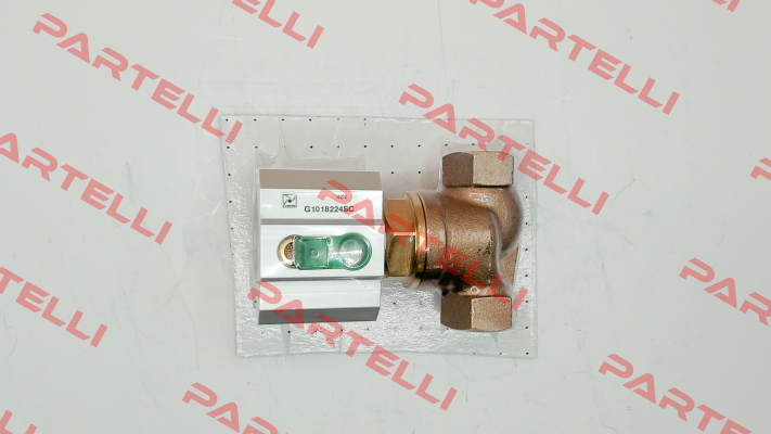 G1018224SC Pneumax