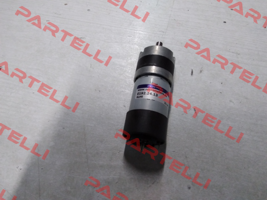 E192.24.13 Micro Motors
