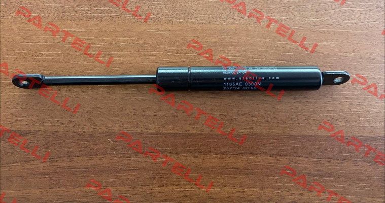 1165AE 0300N 264/04 E 09 Stabilus