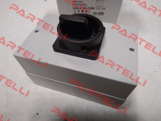 H220-41300-710M1 Salzer