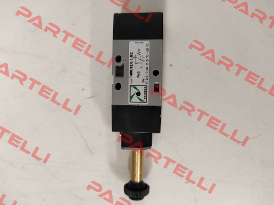 T488.32.0.1.M2 Pneumax