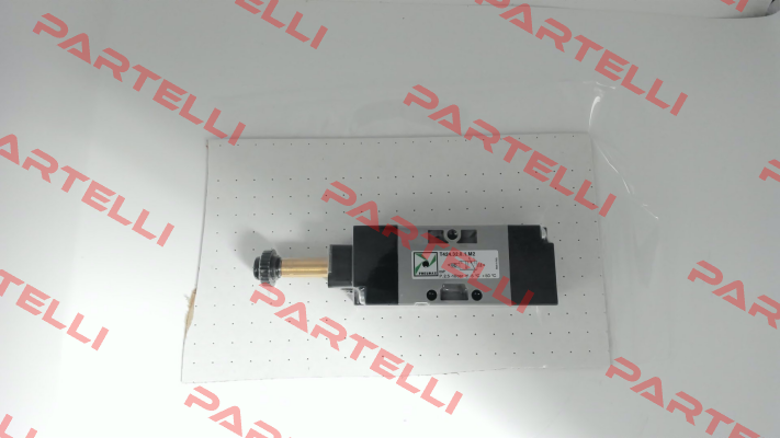 T424.32.0.1.M2 Pneumax