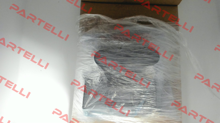 WE255-4R100Z24/0H Voith