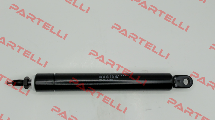 299030 Stabilus