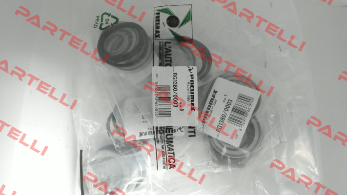 RG1380/0003 Pneumax