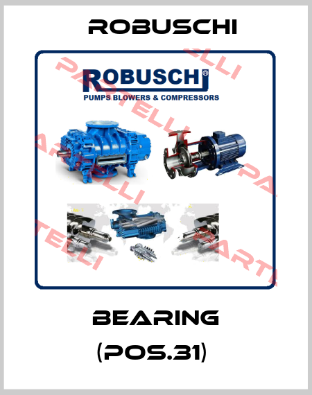Bearing (Pos.31)  Robuschi