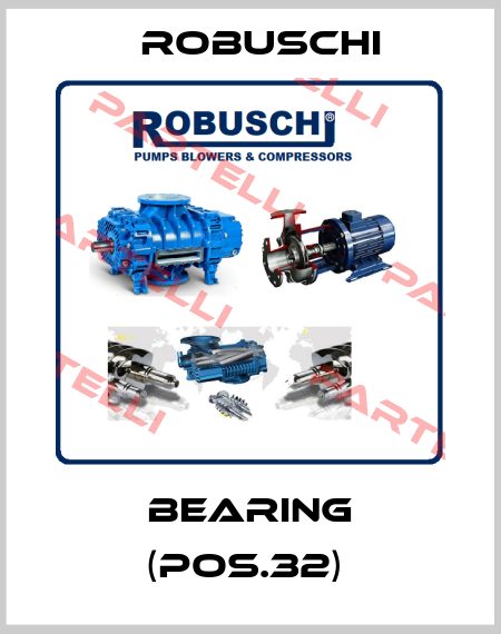 Bearing (Pos.32)  Robuschi