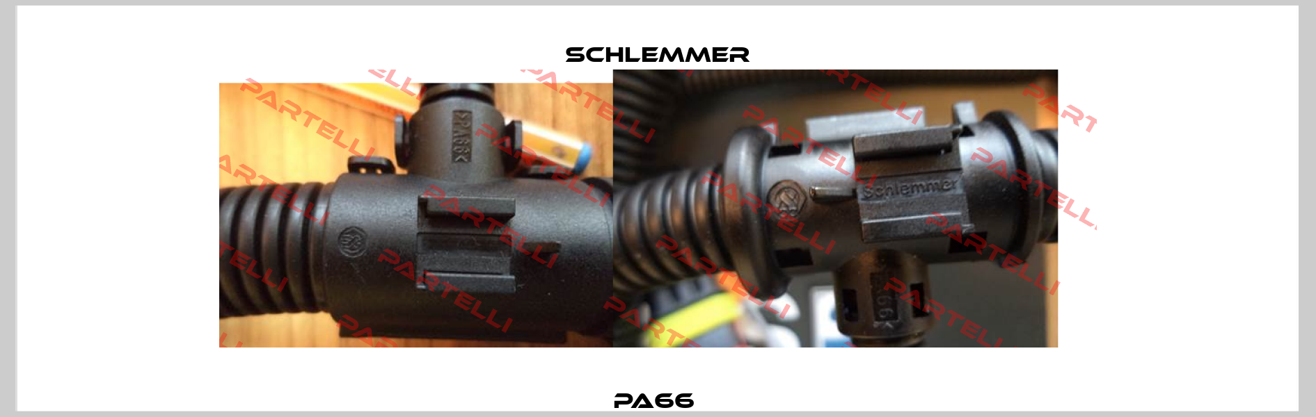 PA66  Schlemmer