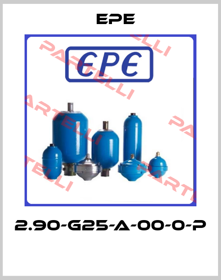 2.90-G25-A-00-0-P  Epe