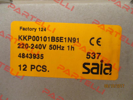KKP00101B5E1N91  Saia-Burgess