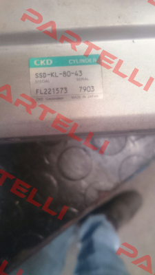 SSD-KL-80-43-FL221573  oem Ckd