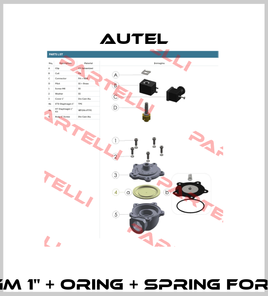 Viton diaphragm 1" + oring + spring for valve AE1825B  AUTEL