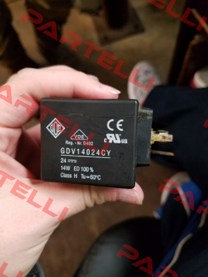 RGDV14024CY / 80900176 Ode