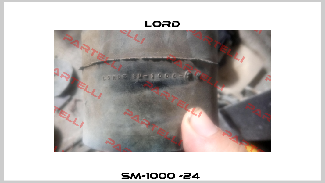SM-1000 -24  Lord
