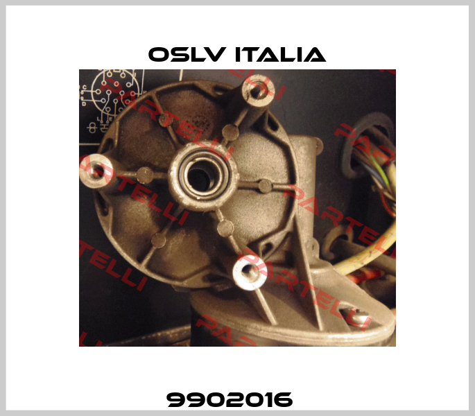 9902016   OSLV Italia