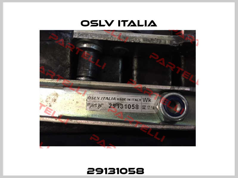 29131058   OSLV Italia