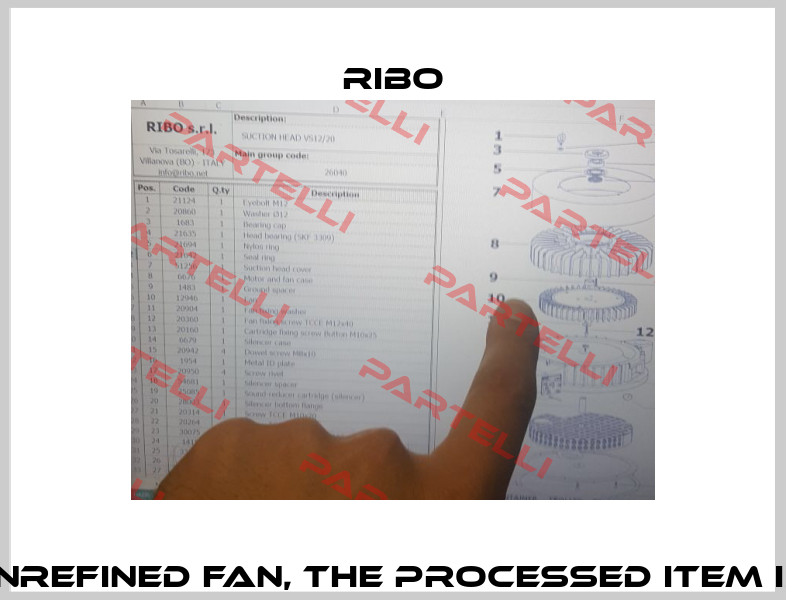 12946 unrefined fan, the processed item is 13946  Ribo
