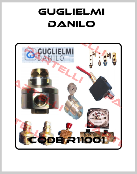 Code R11001  Guglielmi Danilo