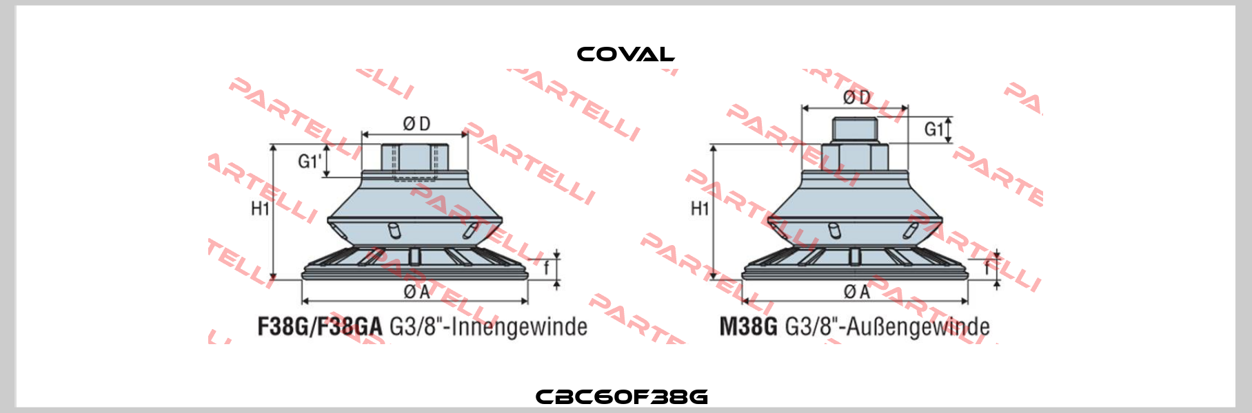 CBC60F38G  Coval