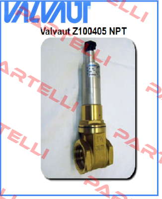 Z100405 NPT  Valvaut