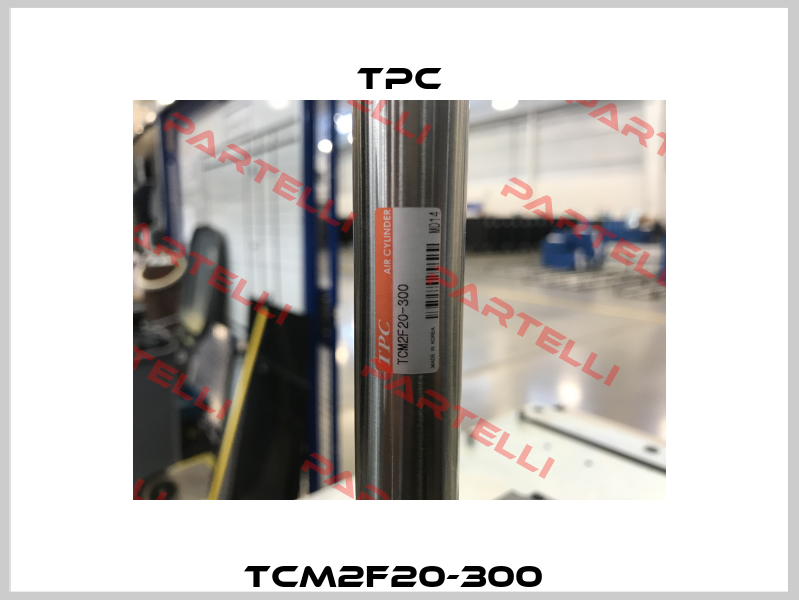 TCM2F20-300  TPC