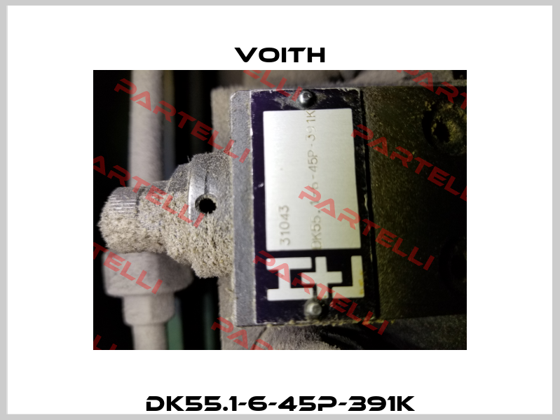 DK55.1-6-45P-391K Voith