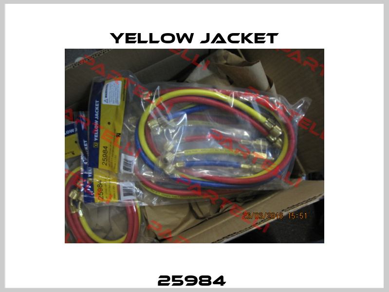 25984  Yellow Jacket