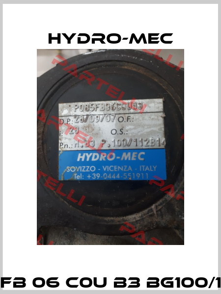 P085 FB 06 C0U B3 BG100/112B14  Hydro-Mec