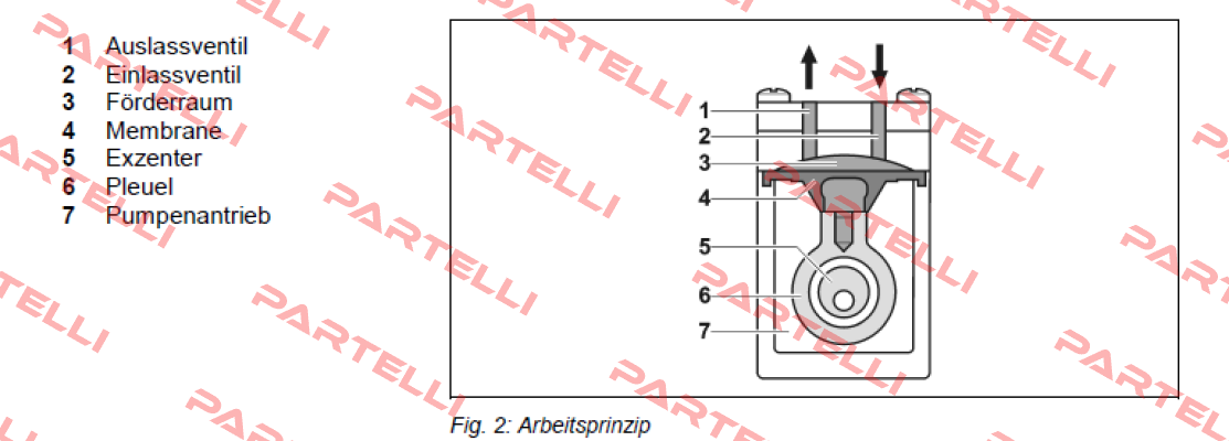 Pos.6(fiig.2) for membrane for NF 300 TT.27АА  KNF